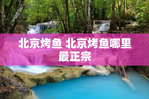 北京烤鱼 北京烤鱼哪里最正宗 北京烤鱼 北京烤鱼哪里最正宗