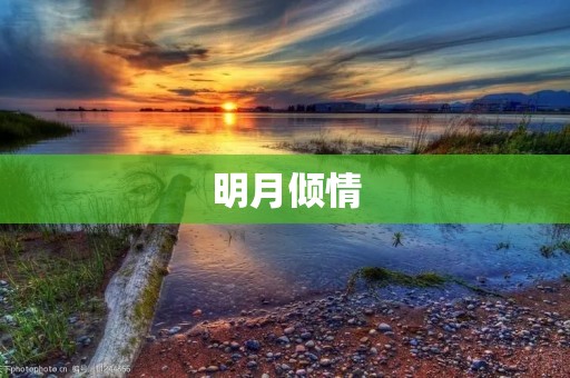 明月倾情：月下细雨洗净心灵的舞台