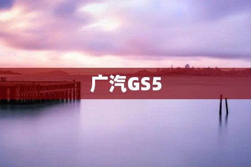 广汽GS5：豪华SUV新标杆