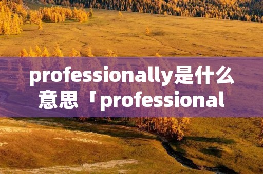 professionally是什么意思「professionally是什么意思中文翻译」
