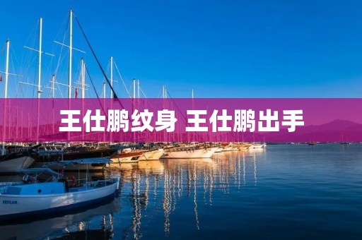 王仕鹏纹身 王仕鹏出手