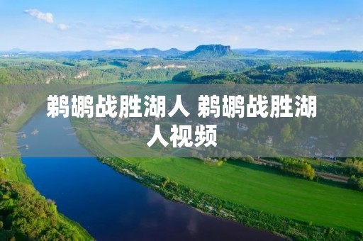 鹈鹕战胜湖人 鹈鹕战胜湖人视频