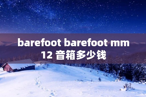 barefoot barefoot mm12 音箱多少钱