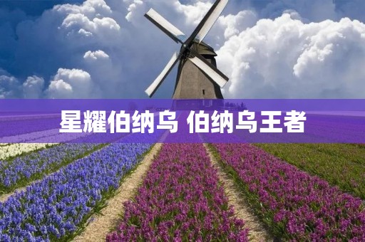 星耀伯纳乌 伯纳乌王者