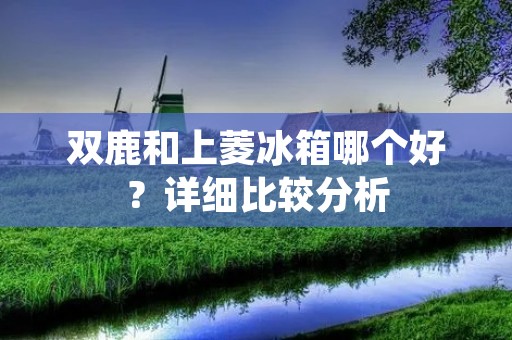 双鹿和上菱冰箱哪个好？详细比较分析