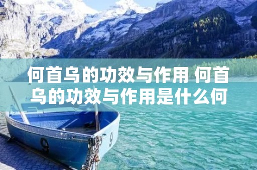 何首乌的功效与作用 何首乌的功效与作用是什么何首乌粉