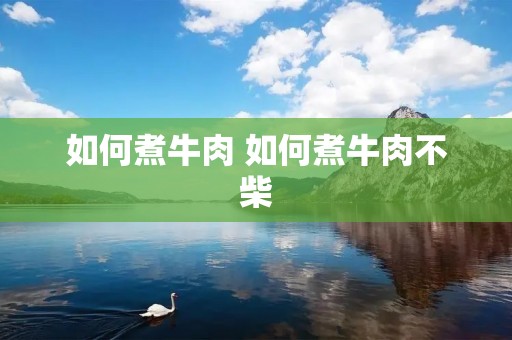 如何煮牛肉 如何煮牛肉不柴 如何煮牛肉 如何煮牛肉不柴