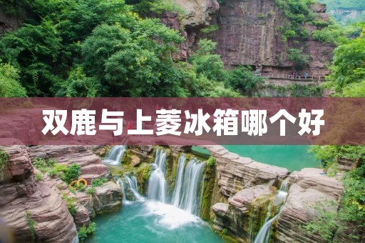 双鹿与上菱冰箱哪个好
