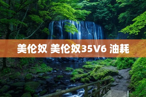美伦奴 美伦奴35V6 油耗