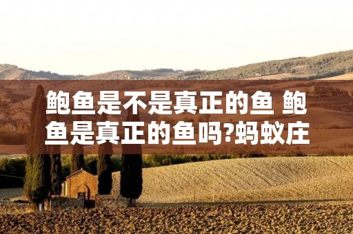 鲍鱼是不是真正的鱼 鲍鱼是真正的鱼吗?蚂蚁庄园3月30日课堂答案