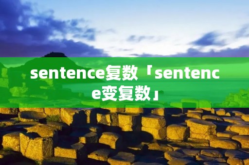 sentence复数「sentence变复数」