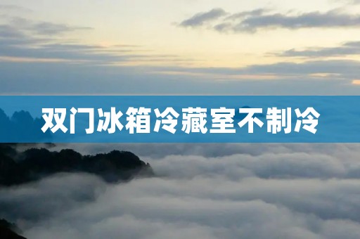 双门冰箱冷藏室不制冷：原因及解决方法
