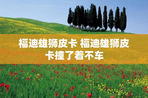 福迪雄狮皮卡 福迪雄狮皮卡撞了着不车 福迪雄狮皮卡 福迪雄狮皮卡撞了着不车