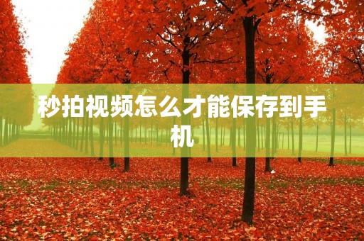 秒拍视频怎么才能保存到手机
