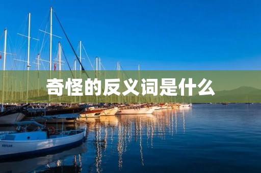 奇怪的反义词是什么