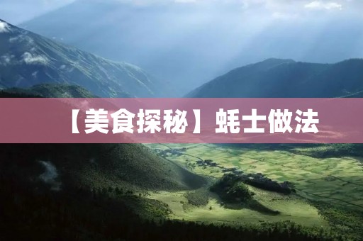 【美食探秘】蚝士做法：口感鲜美，健康营养的美味佳肴