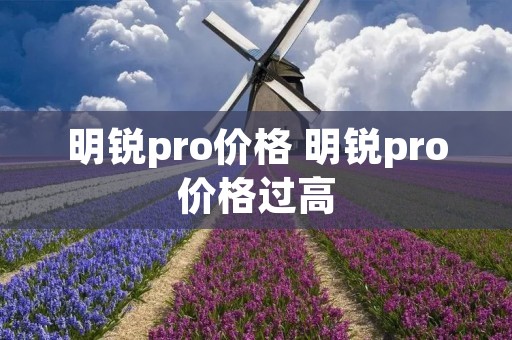 明锐pro价格 明锐pro价格过高