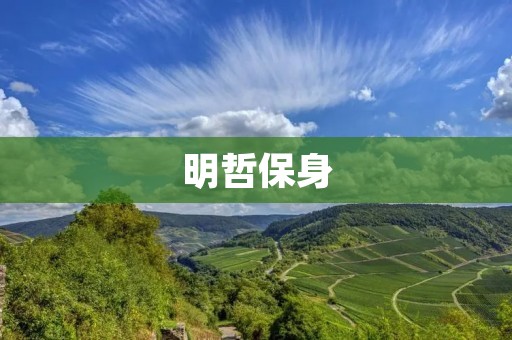明哲保身:智者的生存之道