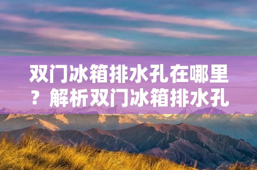 双门冰箱排水孔在哪里？解析双门冰箱排水孔的位置及作用