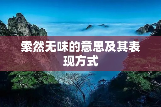 索然无味的意思及其表现方式