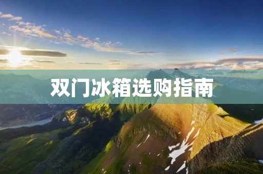 双门冰箱选购指南：哪个品牌最好？