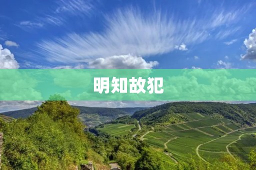 明知故犯:道德底线的彻底崩塌