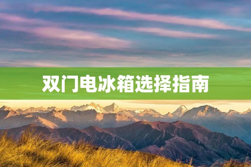 双门电冰箱选择指南:哪个品牌最好? 双门电冰箱选择指南:哪个品牌最好?
