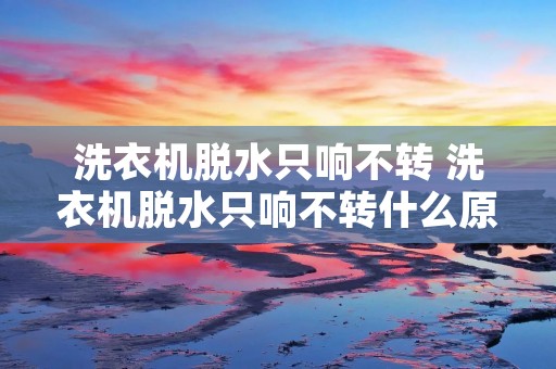 洗衣机脱水只响不转 洗衣机脱水只响不转什么原因 洗衣机脱水只响不转 洗衣机脱水只响不转什么原因
