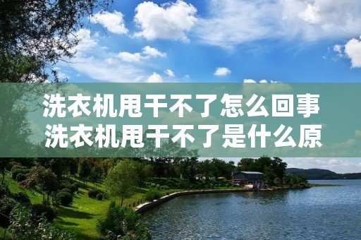 洗衣机甩干不了怎么回事 洗衣机甩干不了是什么原因