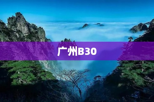 广州B30:探寻城市发展的新动力 广州B30:探寻城市发展的新动力