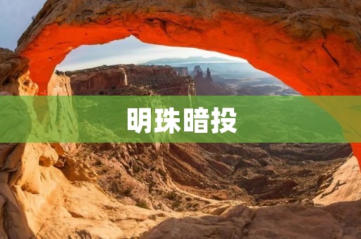 明珠暗投:揭示人们内心的真实欲望