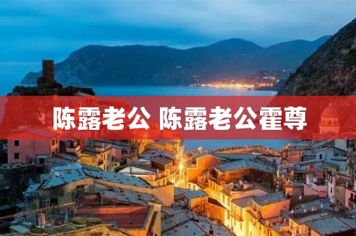 陈露老公 陈露老公霍尊