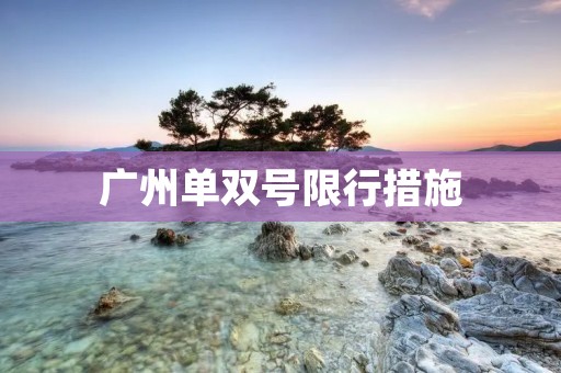 广州单双号限行措施:城市治理与环境保护的艰难平衡 广州单双号限行措施:城市治理与环境保护的艰难平衡