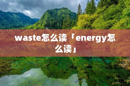 waste怎么读「energy怎么读」