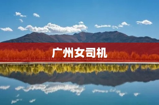 广州女司机：勇敢驾驶的力量