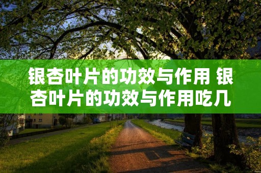 银杏叶片的功效与作用 银杏叶片的功效与作用吃几片