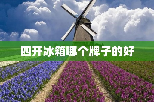 四开冰箱哪个牌子的好
