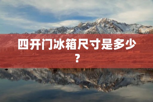 四开门冰箱尺寸是多少？