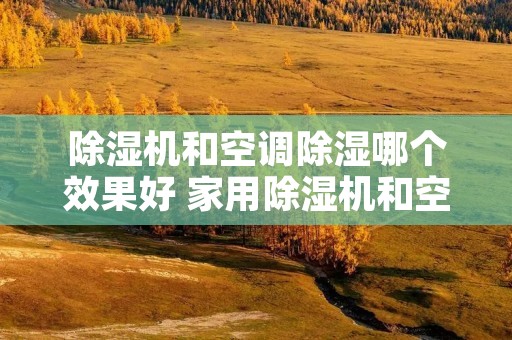 除湿机和空调除湿哪个效果好 家用除湿机和空调除湿哪个效果好