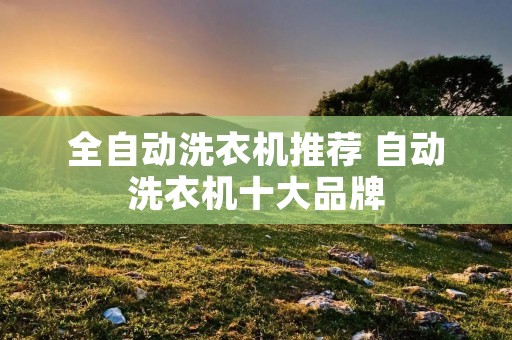 全自动洗衣机推荐 自动洗衣机十大品牌