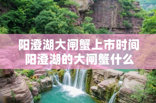 阳澄湖大闸蟹上市时间 阳澄湖的大闸蟹什么时候上市