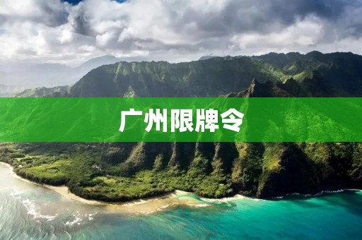 广州限牌令：探讨交通管制政策对城市交通和居民生活的影响