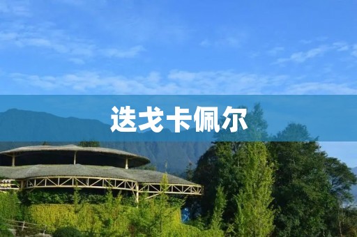 迭戈卡佩尔:创新和**的艺术家 迭戈卡佩尔:创新和**的艺术家