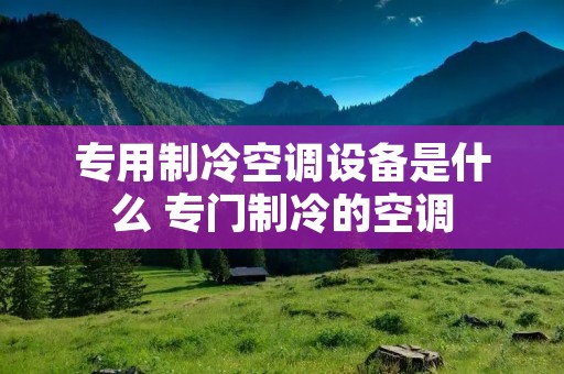 专用制冷空调设备是什么 专门制冷的空调