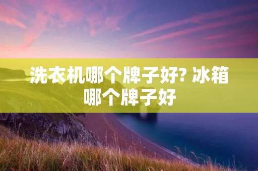 洗衣机哪个牌子好? 冰箱哪个牌子好