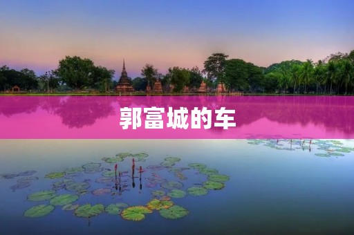 郭富城的车:奢华与品味的完美结合 郭富城的车:奢华与品味的完美结合