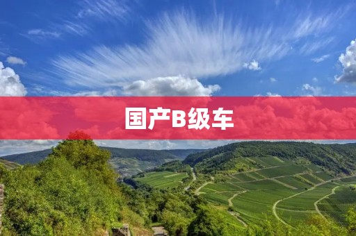 国产B级车：细节决定品质