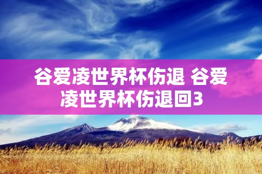 谷爱凌世界杯伤退 谷爱凌世界杯伤退回3
