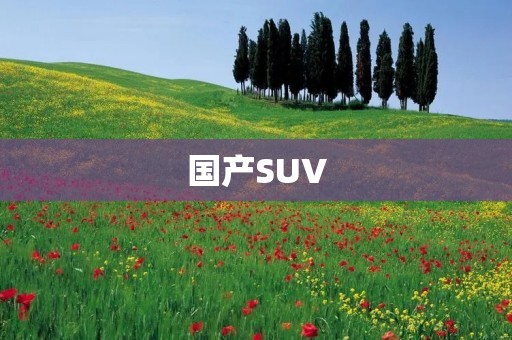 国产SUV:中国汽车工业的崛起 国产SUV:中国汽车工业的崛起