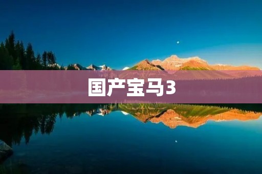 国产宝马3：豪华与性能的完美结合